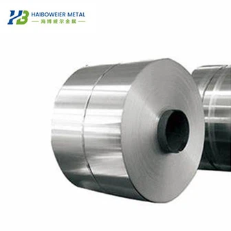 Ζώνη καθαρού νικελίου N6